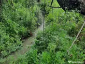 Teren extravilan de vânzare, 4900 mp, Boldești Scaieni 