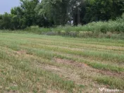 Teren extravilan de vânzare, 4900 mp, Boldești Scaieni 