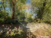 Vila 474 mp utili deschidere direct lac Snagov 1250 mp teren 