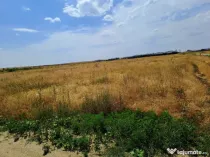 Teren intravilan Carcea , 415 mp , cu front stradal 14,78 m