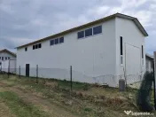 De vanzare comuna domnesti hala si teren 
