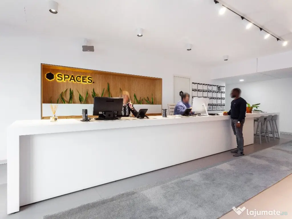 Spațiu de birou frumos proiectat pentru 1 persoană în Spaces Unirii