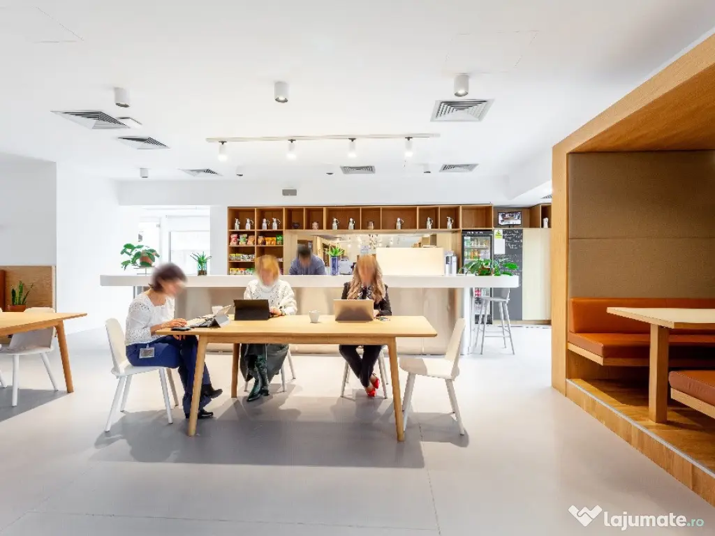 Spațiu de birou frumos proiectat pentru 1 persoană în Spaces Unirii