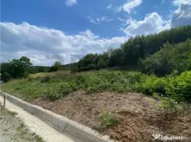 RECO Teren Extravilan Bratesti