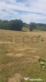 RECO, Teren intravilan, zona Sinteu, 2 Km de Huta Slavia