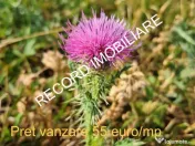 Teren intravilan 1095 mp, zona Molitura Apahida 