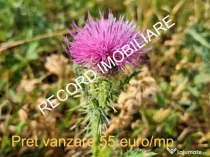 Teren intravilan 1095 mp, zona Molitura Apahida