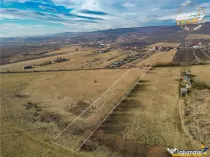 Teren extravilan de 5.800 mp in Sfantu Gheorghe:oportunitate