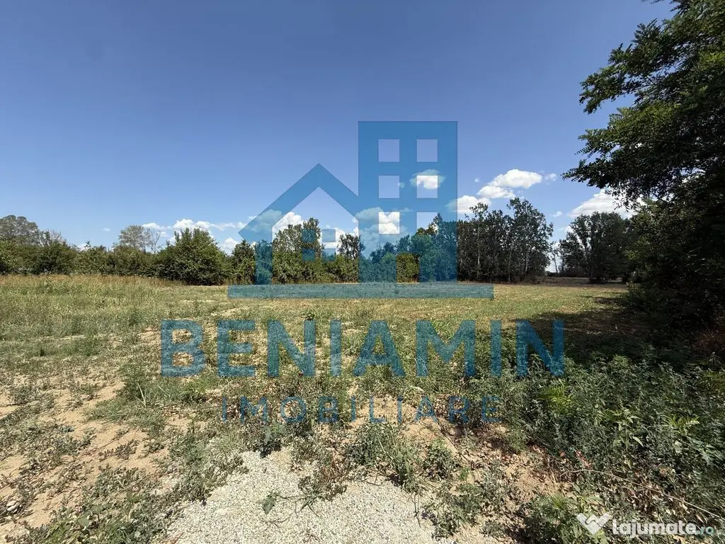 Parcele de teren 500mp-Leamna-Apa-Curent -rate