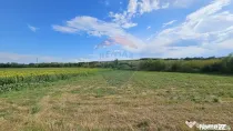 Teren extravilan 12000 mp- Pădureni-Șendriceni, Botoșani