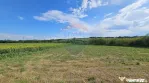 Teren extravilan 12000 mp- Pădureni-Șendriceni, Botoșani