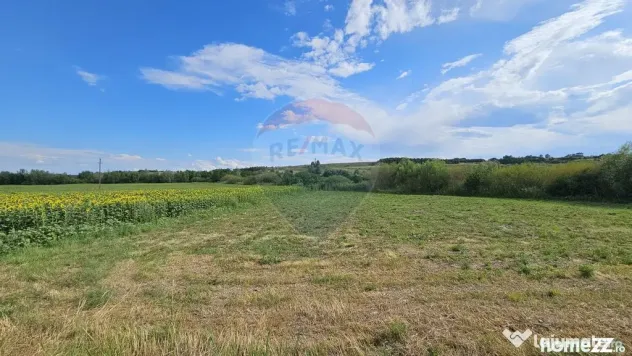 Teren extravilan 12000 mp- Pădureni-Șendriceni, Botoșani