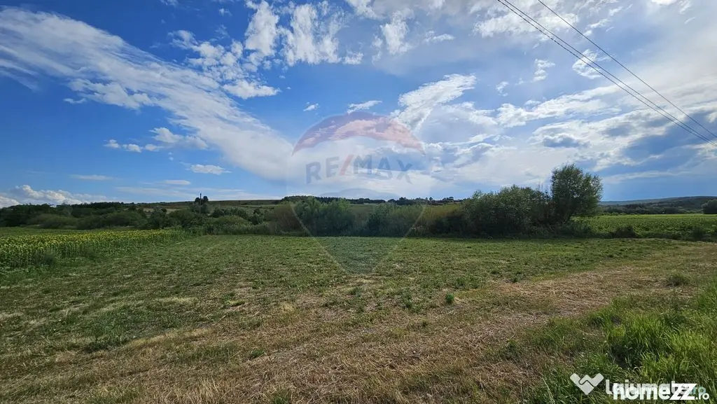 Teren extravilan 12000 mp- Pădureni-Șendriceni, Botoșani