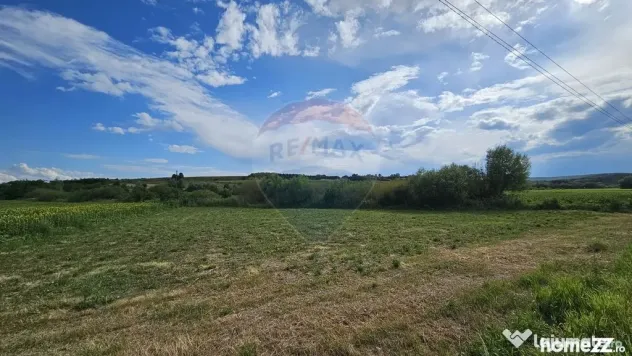 Teren extravilan 12000 mp- Pădureni-Șendriceni, Botoșani
