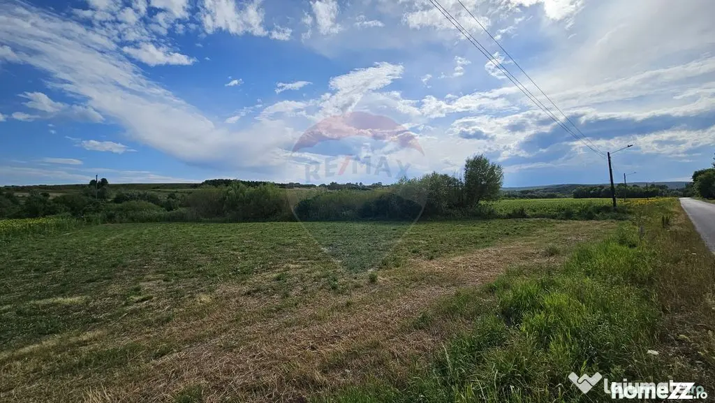 Teren extravilan 12000 mp- Pădureni-Șendriceni, Botoșani