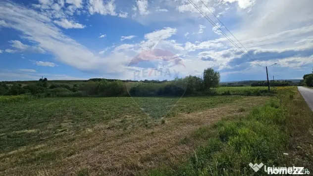 Teren extravilan 12000 mp- Pădureni-Șendriceni, Botoșani