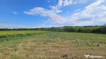 Teren extravilan 12000 mp- Pădureni-Șendriceni, Botoșani