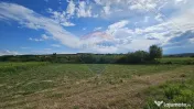 Teren extravilan 12000 mp- Pădureni-Șendriceni, Botoșani 