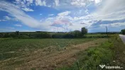 Teren extravilan 12000 mp- Pădureni-Șendriceni, Botoșani 