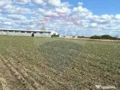 Teren 1 503 mp de vânzare, Nojorid , Soseaua DN79 