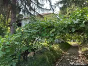Casa si teren - Zona Ultracentrala 
