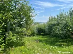 Teren intravilan 1418 mp Sâncraiu de Mureș – panoramă o