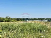 Teren 6,210mp Apateu / Strada Principala 