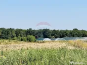 Teren 6,210mp Apateu / Strada Principala 