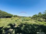 Teren 6,210mp Apateu / Strada Principala 