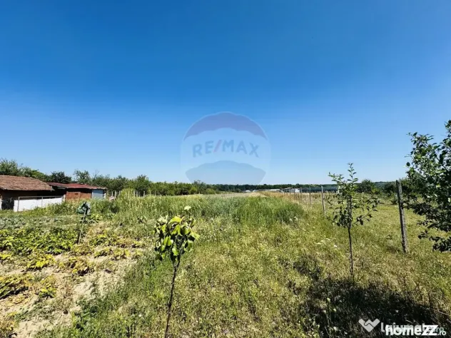 Teren 6,210mp Apateu / Strada Principala