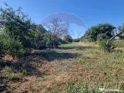 Teren intravilan de inchiriat - 3.600mp Șoseaua Unirii ?... 