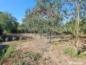 Teren intravilan de inchiriat - 3.600mp Șoseaua Unirii ?... 