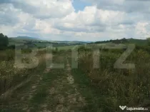 Teren extravilan, 51 ari,zona Sigmir