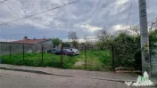 Teren Intravailan de (tei toboc) 