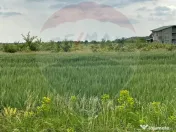 Teren intravilan, un colț de liniște, aflat în Petreș... 