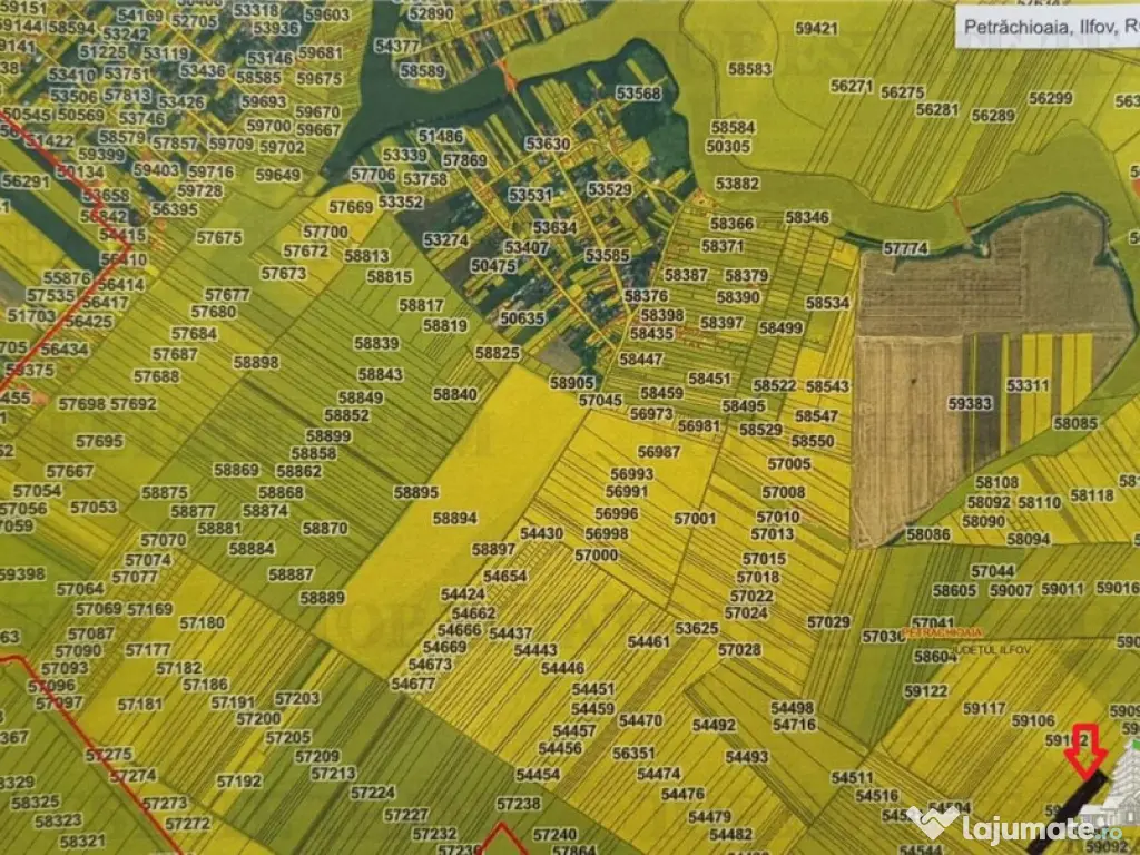 Oferim spre 6 loturi de teren extravilan (agricol) in Petra