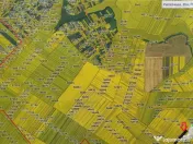 Oferim spre 6 loturi de teren extravilan (agricol) in Petra 