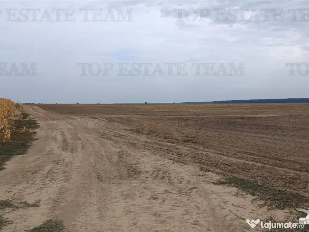 Oferim spre 6 loturi de teren extravilan (agricol) in Petra