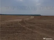 Oferim spre 6 loturi de teren extravilan (agricol) in Petra 