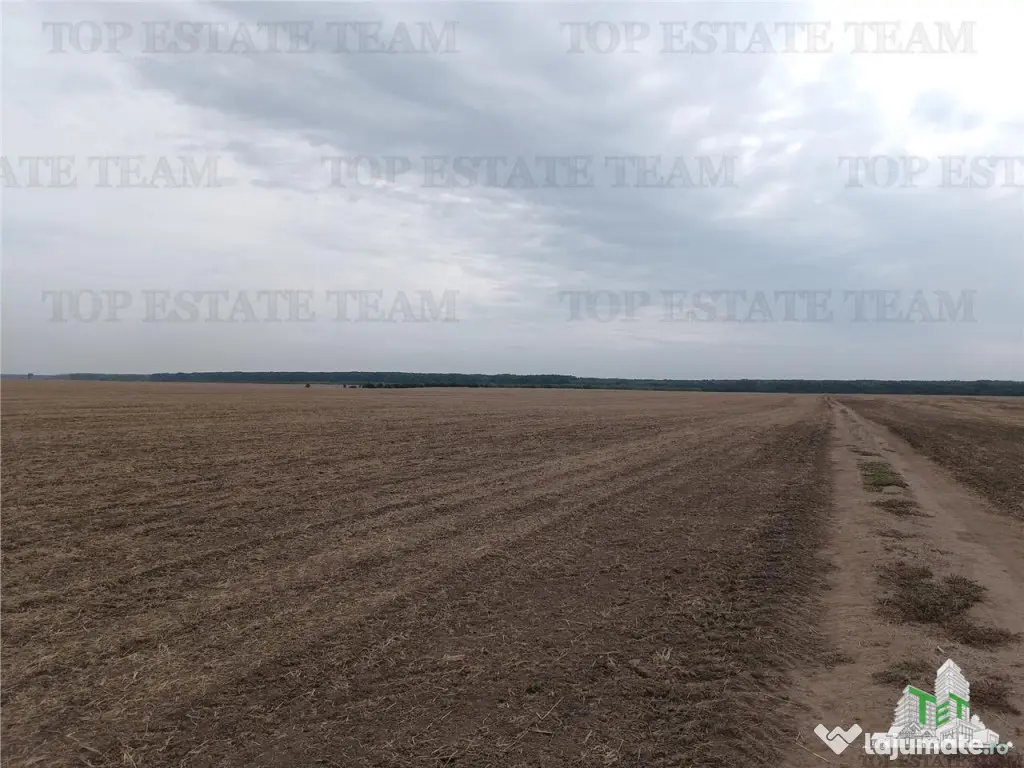 Oferim spre 6 loturi de teren extravilan (agricol) in Petra