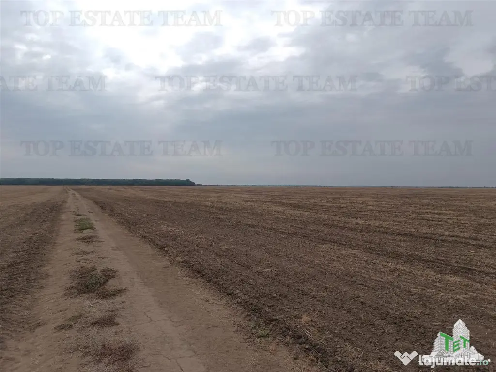 Oferim spre 6 loturi de teren extravilan (agricol) in Petra