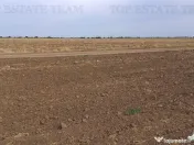 Oferim spre 6 loturi de teren extravilan (agricol) in Petra 