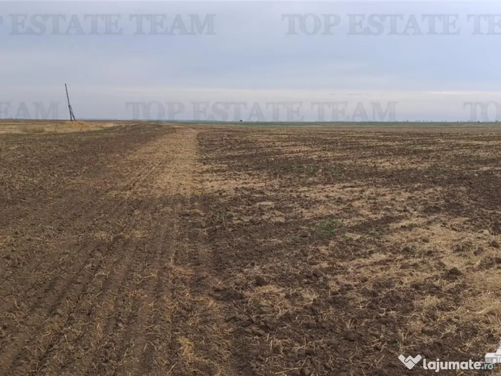 Oferim spre 6 loturi de teren extravilan (agricol) in Petra