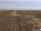 Oferim spre 6 loturi de teren extravilan (agricol) in Petra 