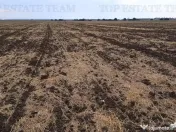 Oferim spre 6 loturi de teren extravilan (agricol) in Petra 