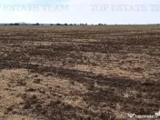 Oferim spre 6 loturi de teren extravilan (agricol) in Petra 