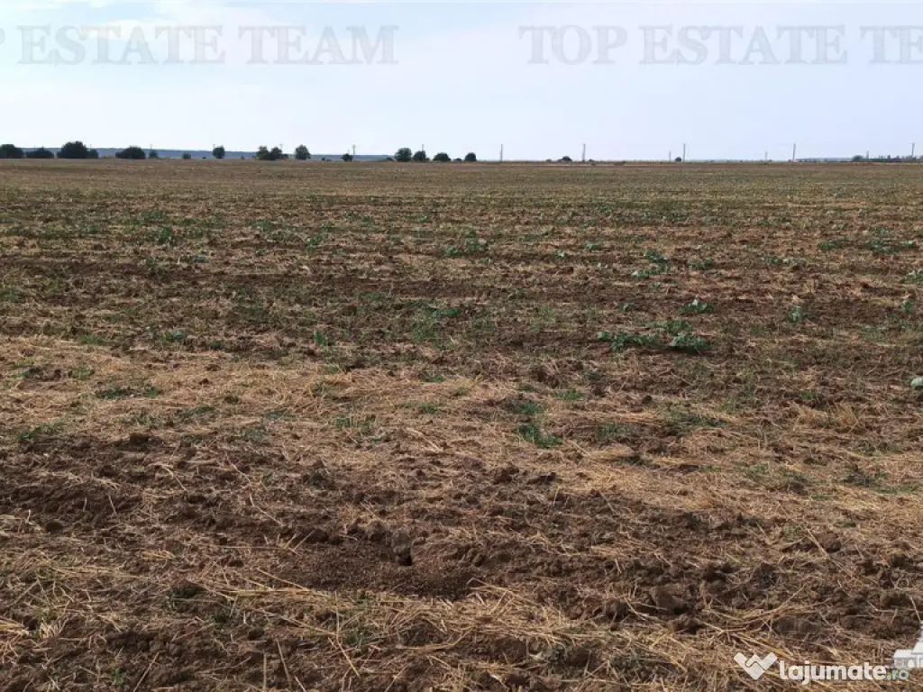 Oferim spre 6 loturi de teren extravilan (agricol) in Petra