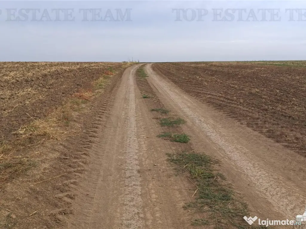 Oferim spre 6 loturi de teren extravilan (agricol) in Petra