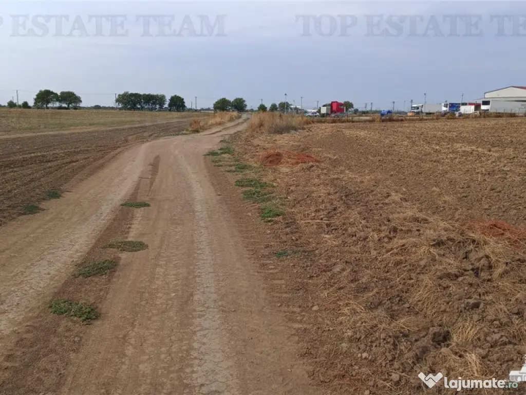 Oferim spre 6 loturi de teren extravilan (agricol) in Petra