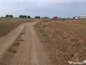 Oferim spre 6 loturi de teren extravilan (agricol) in Petra 